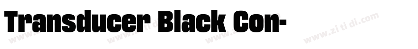 Transducer Black Con字体转换